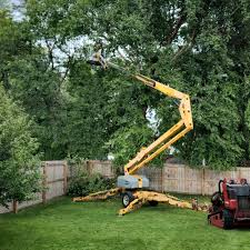 Best Artificial Turf Installation  in Marble Falls, TX