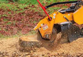 Best Tree Risk Assessment  in Marble Falls, TX