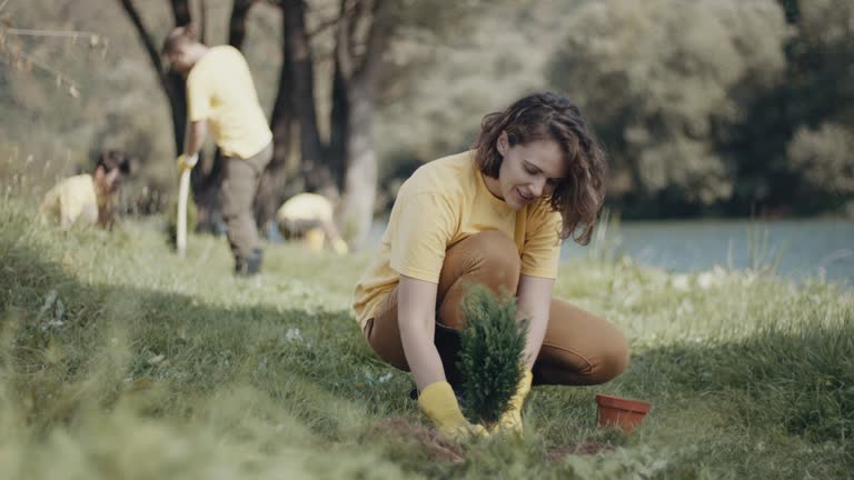 Best Lawn Renovation and Restoration  in Marble Falls, TX