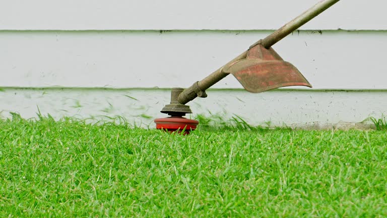 Best Arborist Consultation Services  in Marble Falls, TX