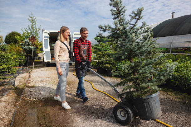 Best Tree and Shrub Care  in Marble Falls, TX
